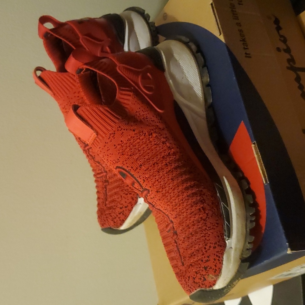 CHAMPION - Picture 4 of 10
